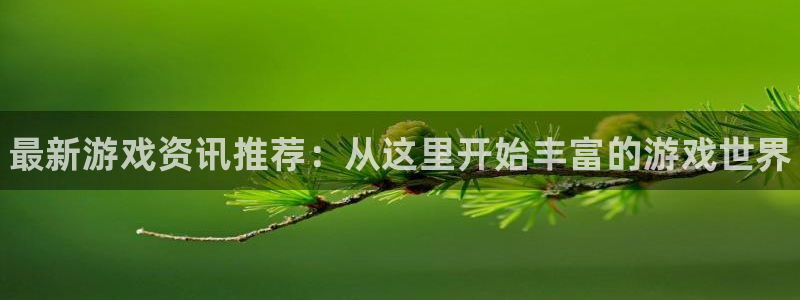赢咖娱乐手机网页版登录：最新游戏资讯推荐：从这里开始丰富的游