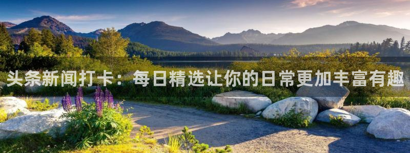 赢咖娱乐线路测试：头条新闻打卡：每日精选让你的日常更加丰富有