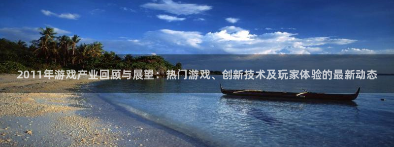 赢咖娱乐的意思：2011年游戏产业回顾与展望：热门游戏、创新