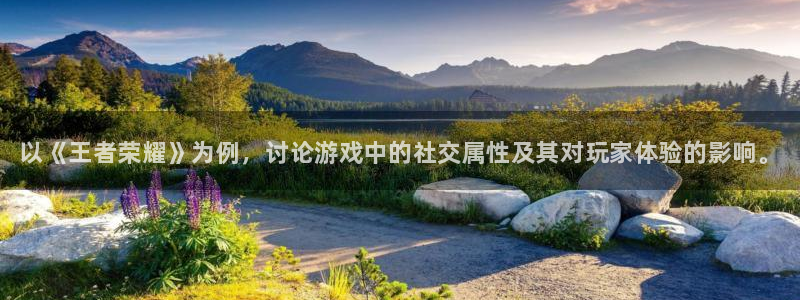 赢咖娱乐登录：以《王者荣耀》为例，讨论游戏中的社交属性及其对