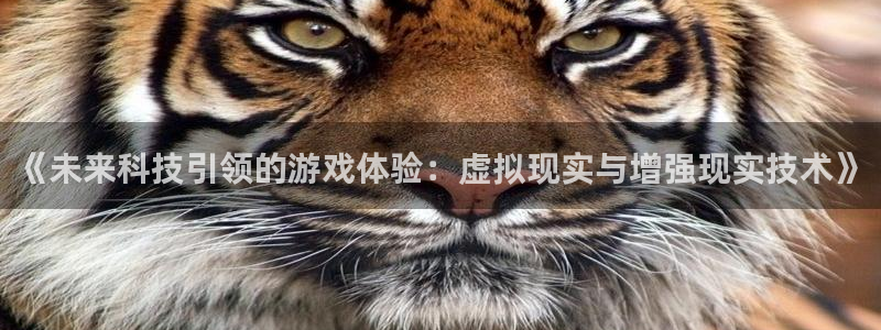 赢咖娱乐官网登录：《未来科技引领的游戏体验：虚拟现实与增强现
