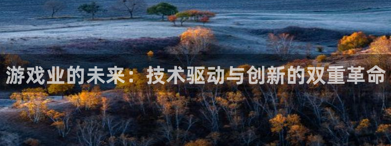 赢咖娱乐平台官网注册：游戏业的未来：技术驱动与创新的双重革命